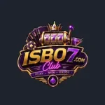 ISB07 Game icon